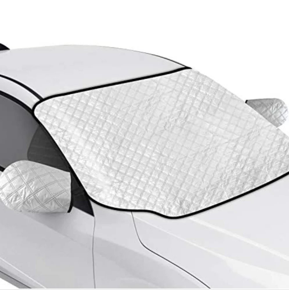 Auto Lot - Picture 7 of 7